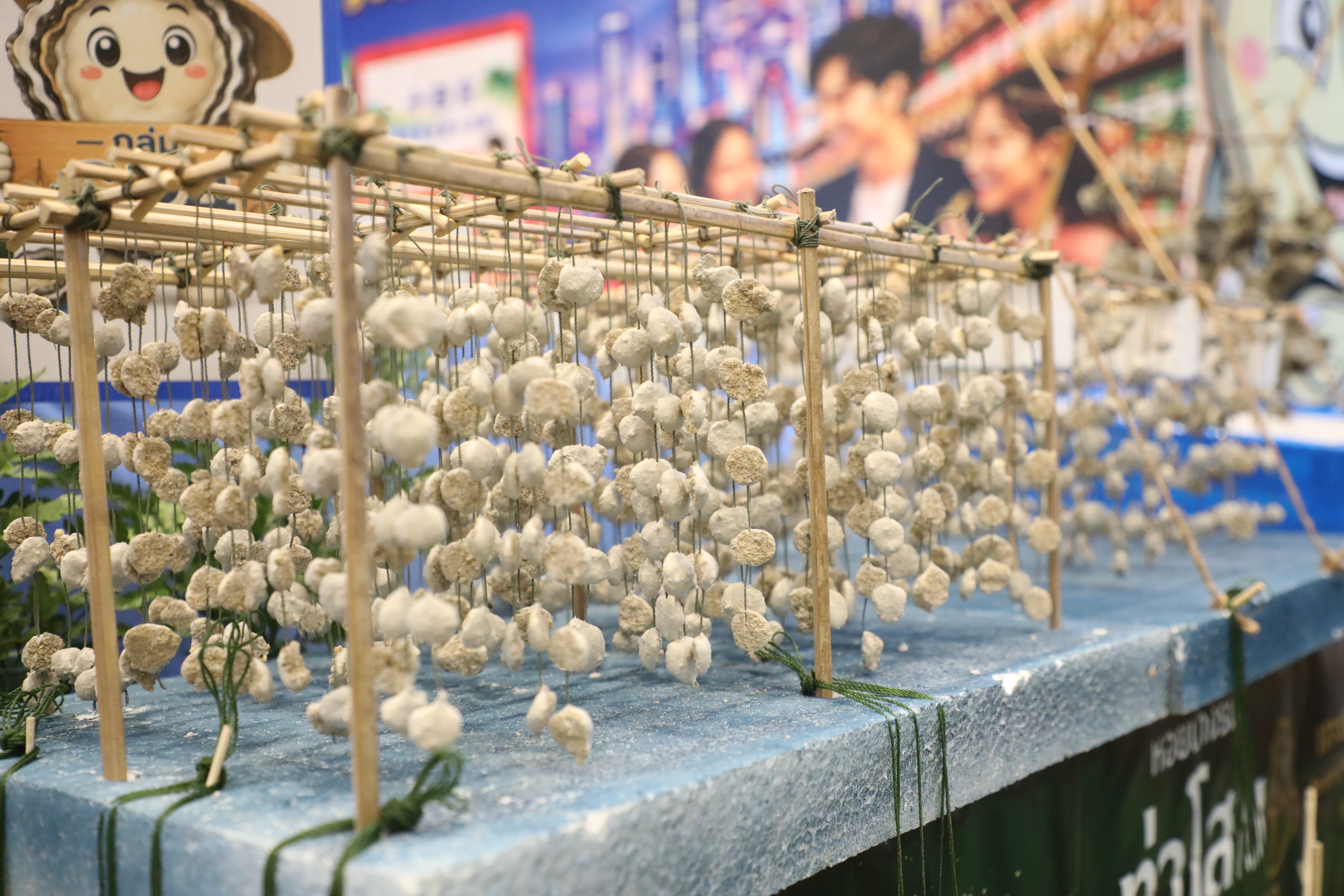 title - เข้าร่วมชมการจัดนิทรรศการ และนำเสนอผลงานกลุ่ม สินค้าเกษตรมูลค่าสูงและแผนผลักดันสินค้าเกษตรมูลค่าสูง เพื่อการส่งออกไปยังต่างประเทศ หลักสูตร นักบริหารการพัฒนาการเกษตรและสหกรณ์ ระดับสูง (นบส.) รุ่นที่ 94